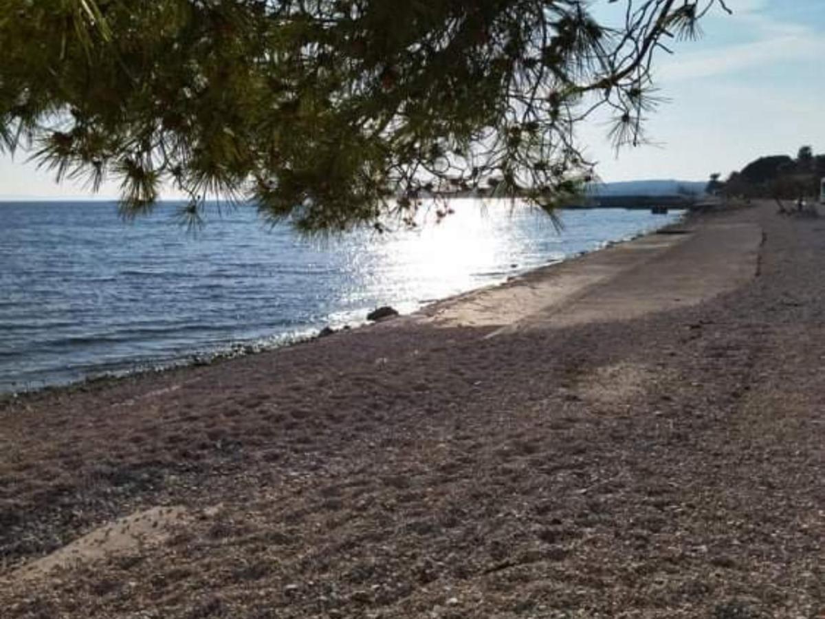 Apartment Barbara Вир Екстериор снимка